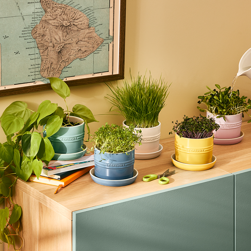 Herb Planter Herb Planter